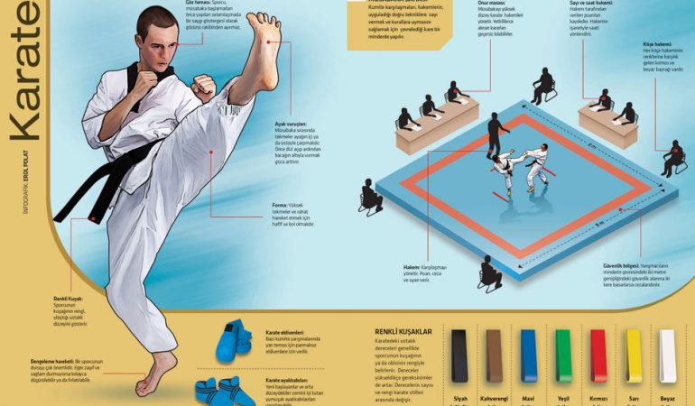 karate-infografik-2-950x601